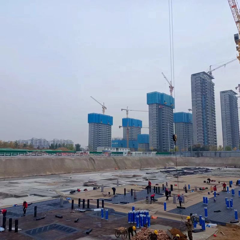 1700036162131114.jpg 1700036159738256.jpg